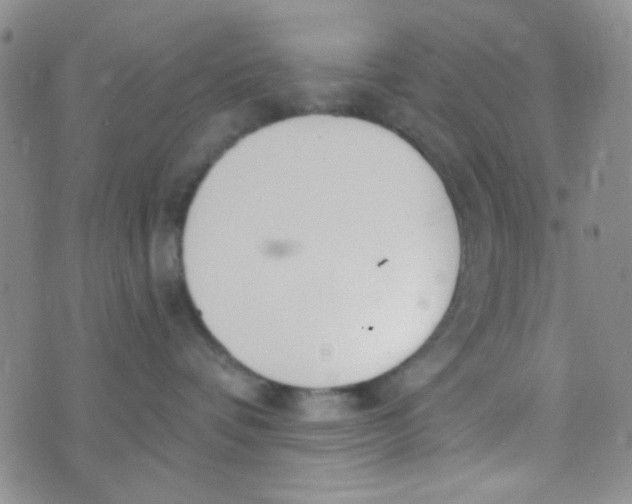 X0000074320336200609152038