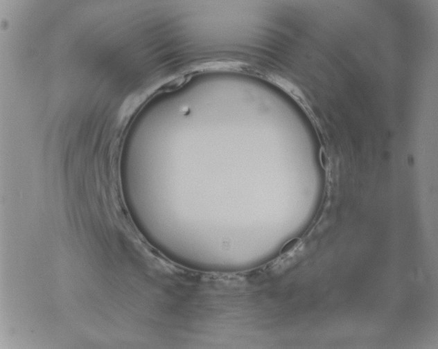 X0000074320337200609152037