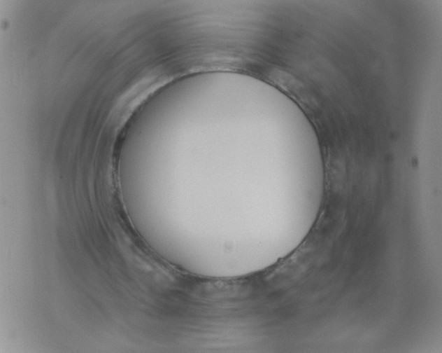 X0000074320338200609152037