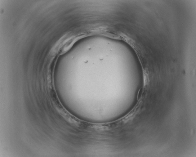 X0000074320339200609152037