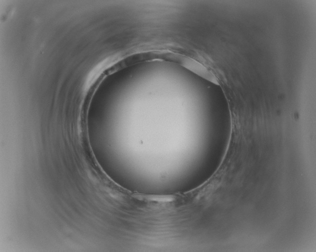 X0000074320340200609152037