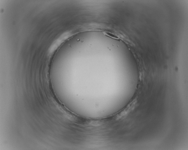 X0000074320341200609152037