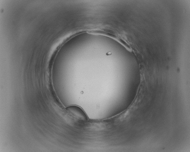 X0000074320342200609152037