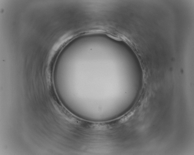 X0000074320343200609152037