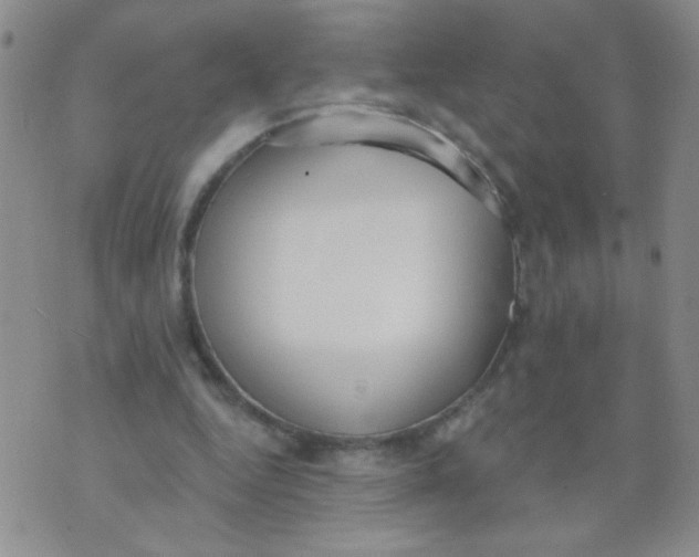 X0000074320344200609152037