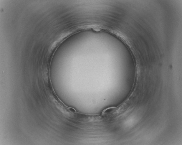 X0000074320345200609152037