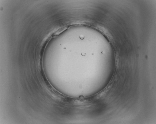 X0000074320346200609152037