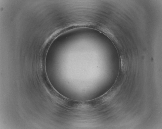 X0000074320348200609152037