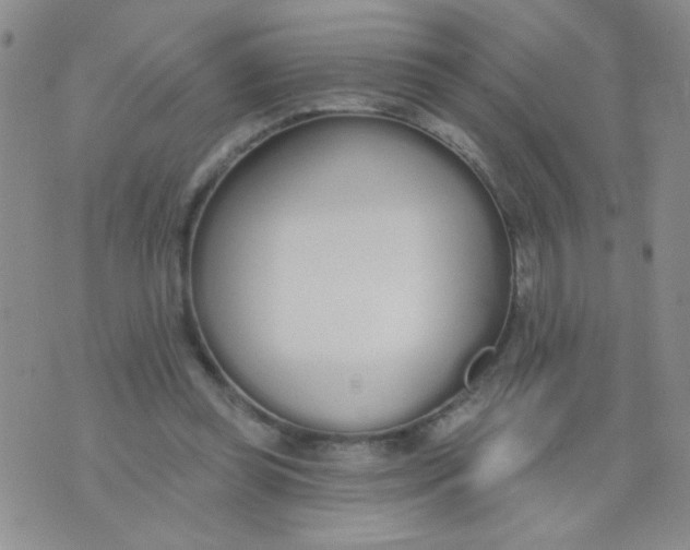 X0000074320349200609152037