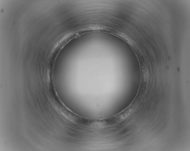 X0000074320350200609152037