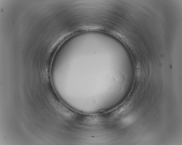 X0000074320351200609152038