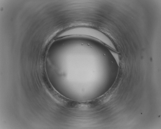 X0000074320352200609152038