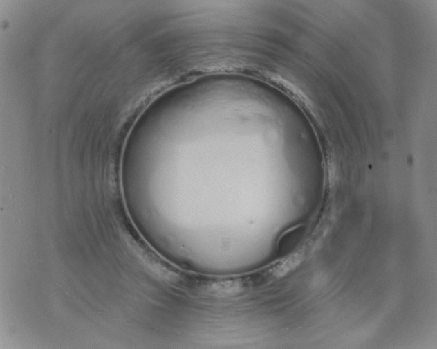 X0000074320353200609152038