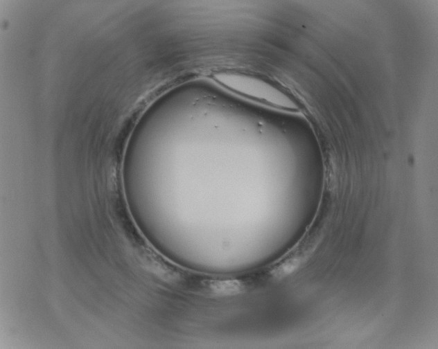 X0000074320355200609152038