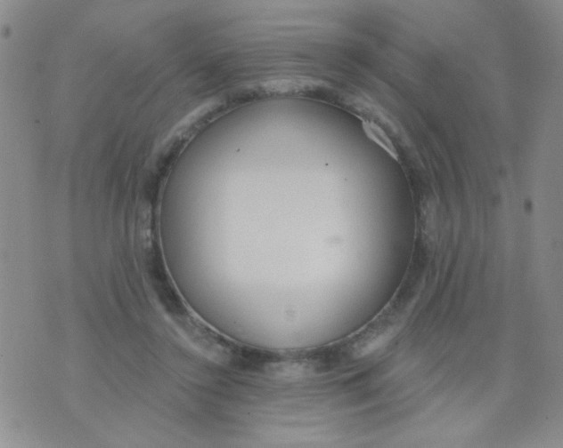 X0000074320356200609152038