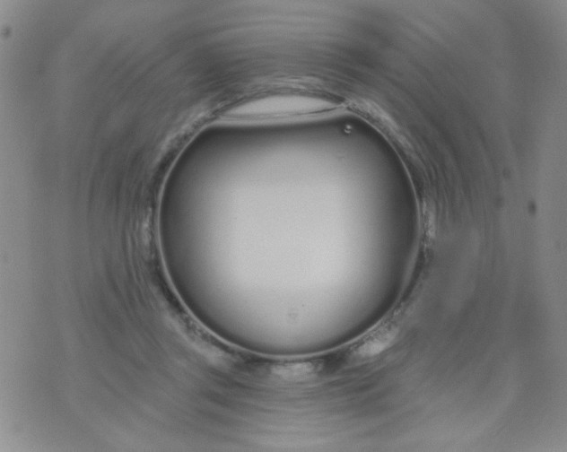 X0000074320357200609152038