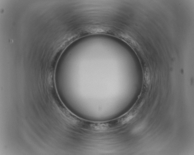 X0000074320359200609152038