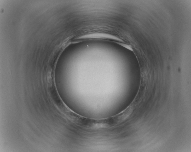 X0000074320360200609152038