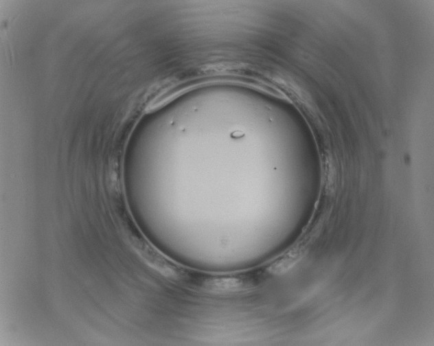 X0000074320361200609152038