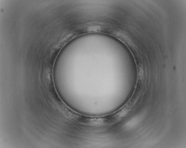 X0000074320363200609152038