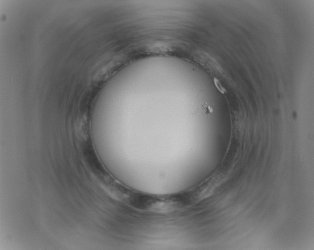 X0000074320364200609152038