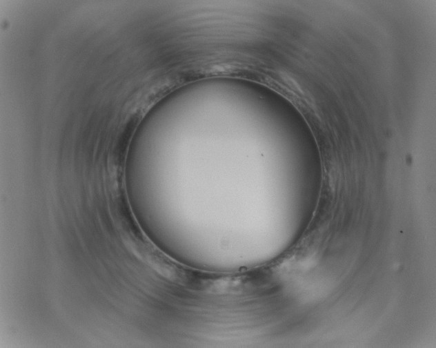 X0000074320366200609152038