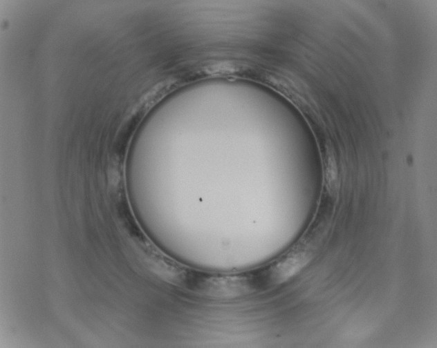 X0000074320367200609152038