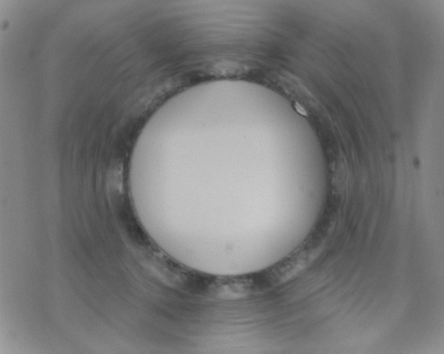 X0000074320368200609152038