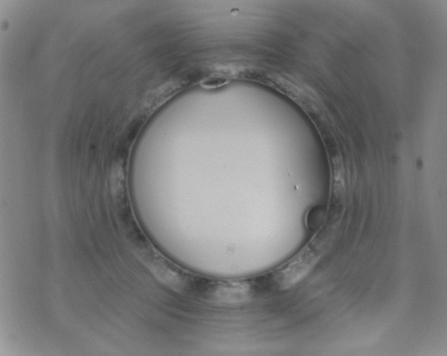 X0000074320369200609152038