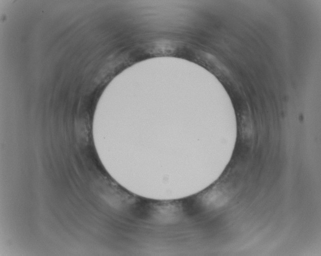 X0000074320370200609152038