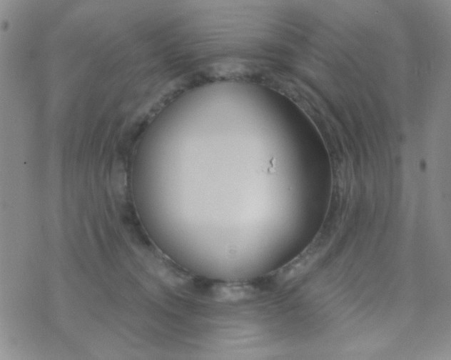 X0000074320372200609152038