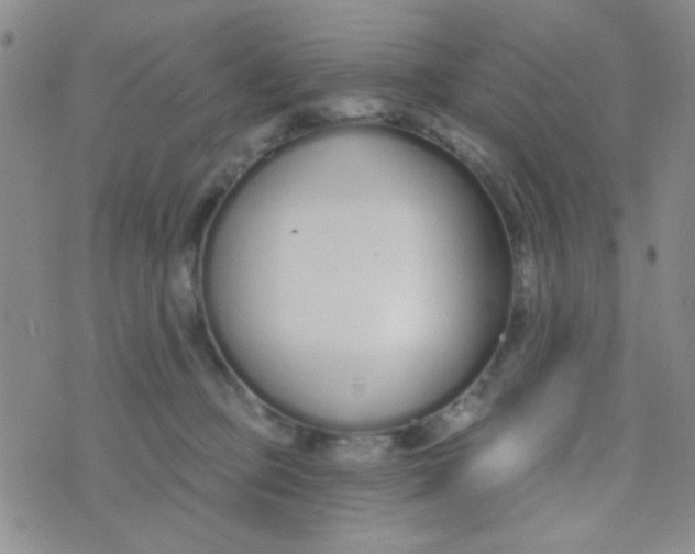 X0000074320373200609152038