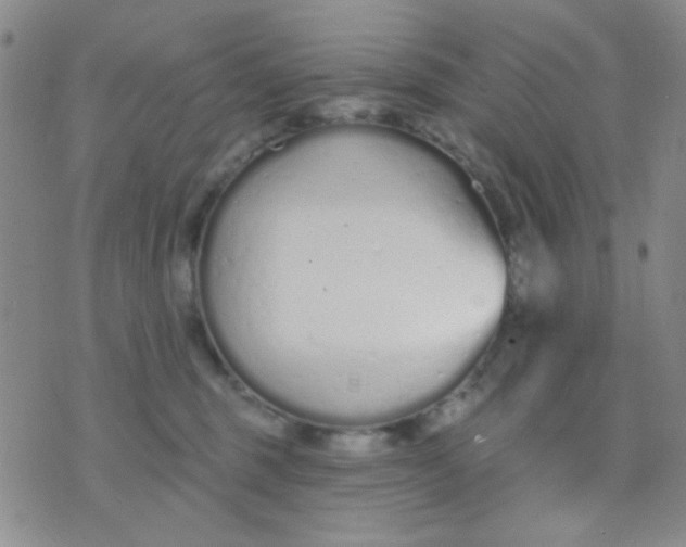 X0000074320375200609152038