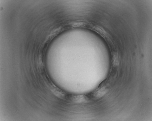 X0000074320377200609152038