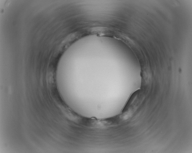 X0000074320379200609152038