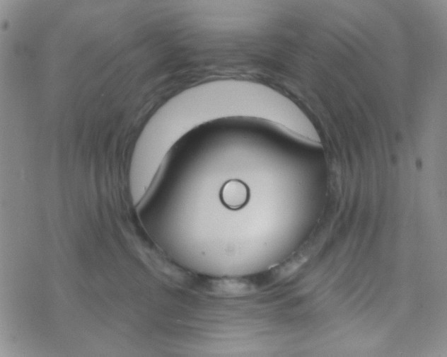 X0000074320380200609152038