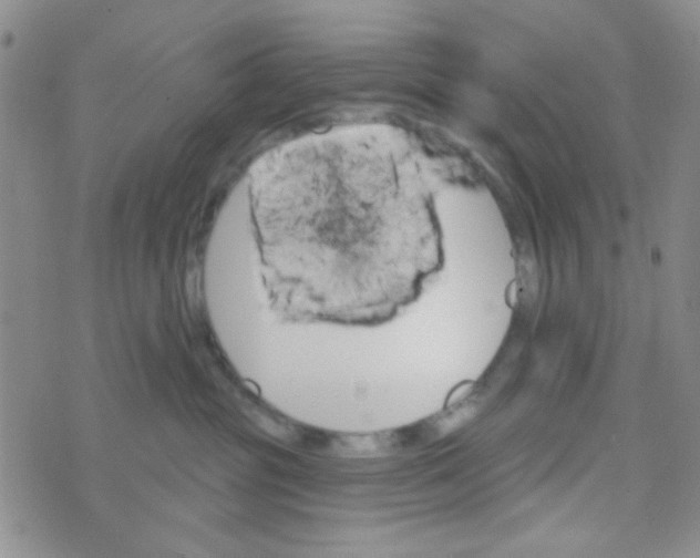 X0000074320381200609152038