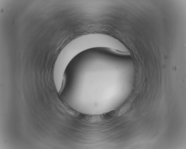 X0000074320384200609152038