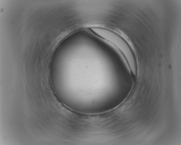 X0000074320385200609152037