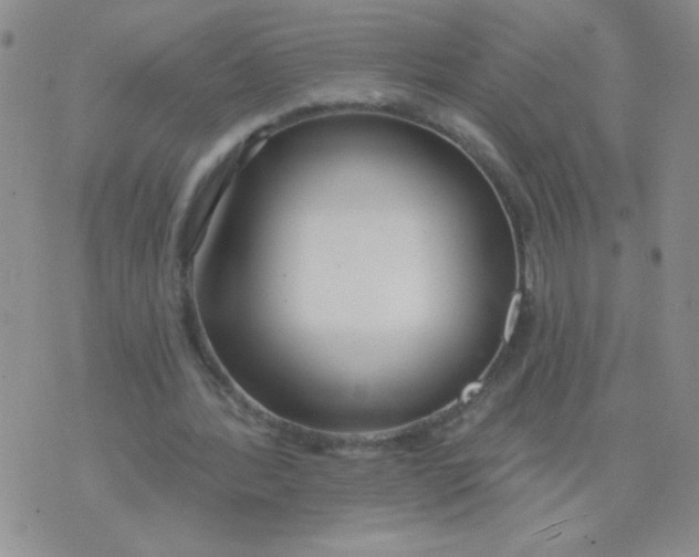 X0000074320388200609152037