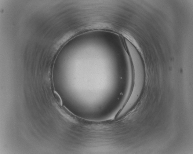 X0000074320389200609152037