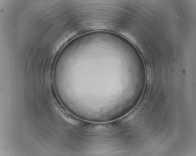 X0000074320390200609152037