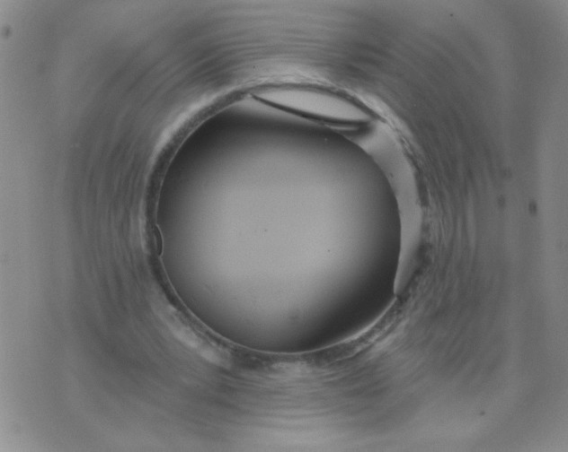 X0000074320391200609152037