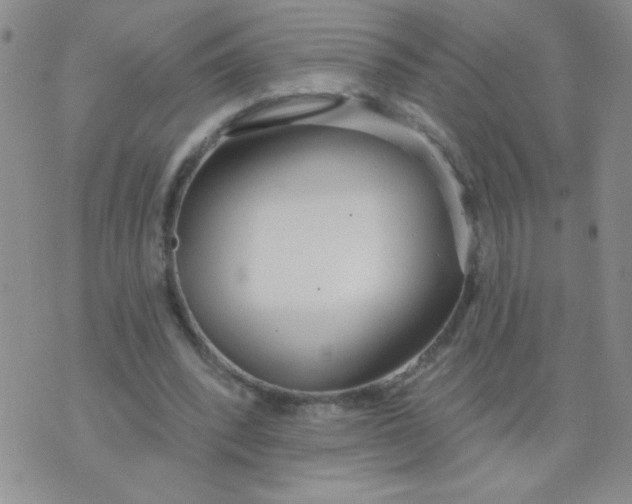 X0000074320392200609152037