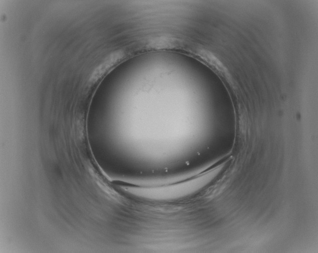 X0000074320393200609152037