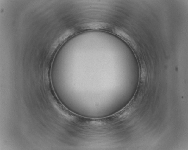 X0000074320394200609152037