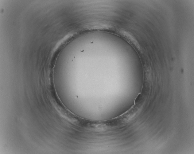 X0000074320395200609152037