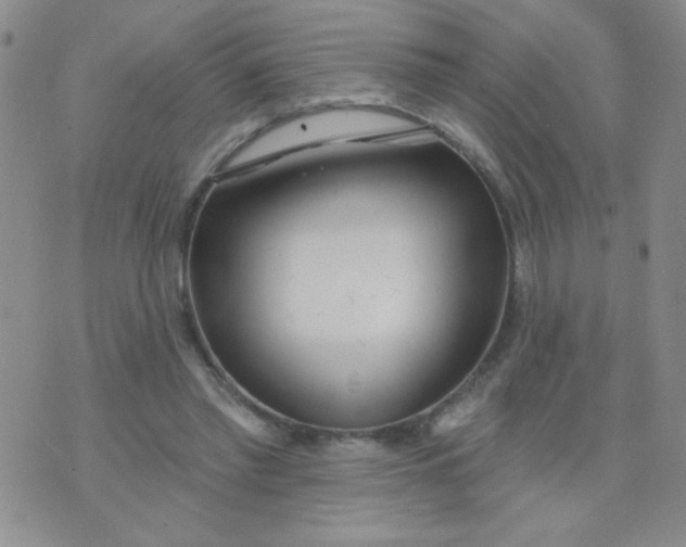 X0000074320397200609152037