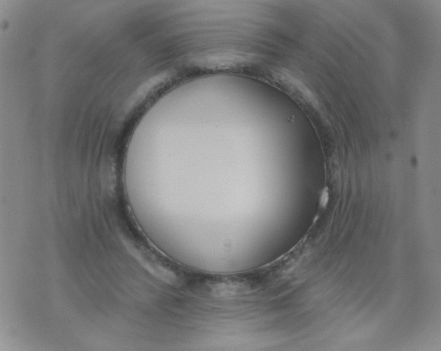 X0000074320400200609152037