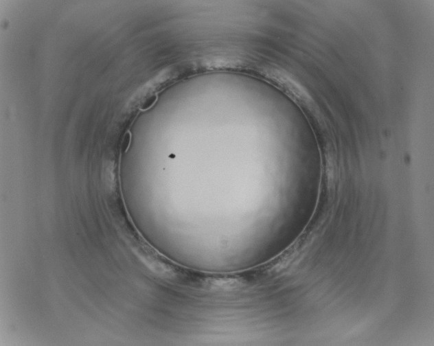 X0000074320401200609152037